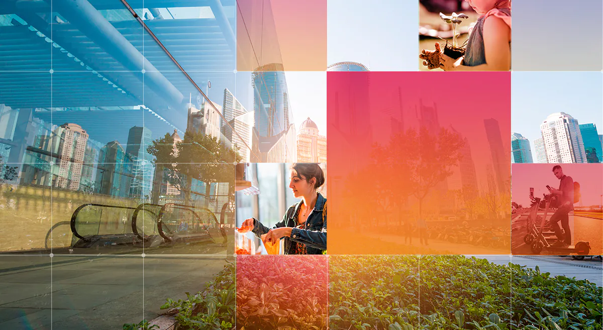 Ações de CI e sustentabilidade